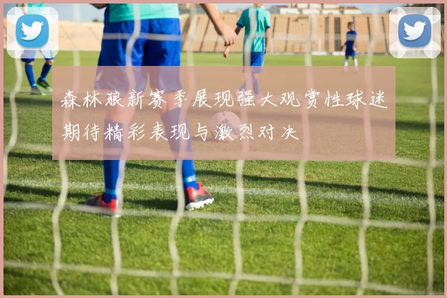 森林狼新赛季展现强大观赏性球迷期待精彩表现与激烈对决