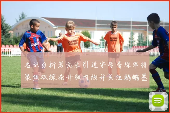 名记分析若无法引进字母哥绿军将聚焦双探花升级内线并关注鹈鹕墨菲