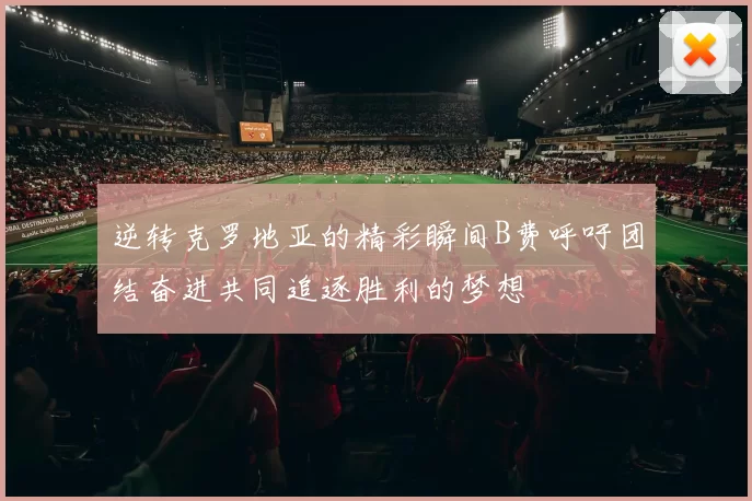 逆转克罗地亚的精彩瞬间B费呼吁团结奋进共同追逐胜利的梦想